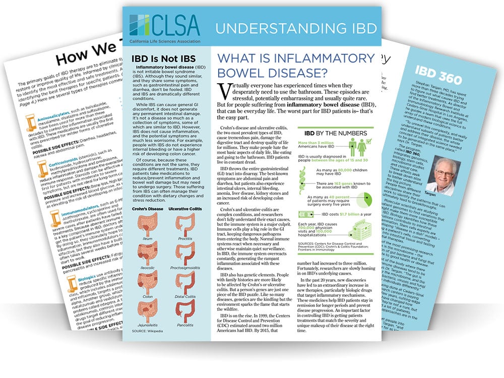 Understanding-IBD.jpg Understanding-IBD.jpg